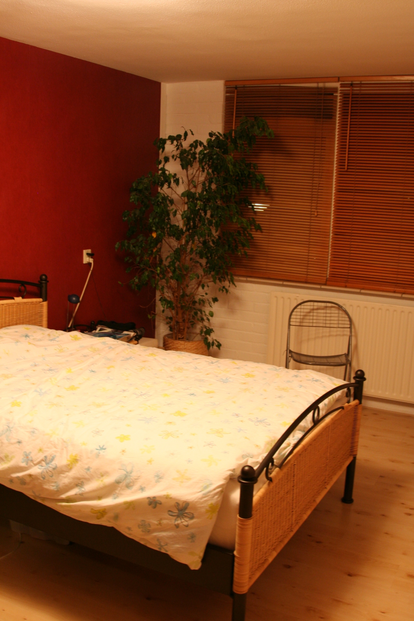 Van leeuwen feng shui ervaringen van klanten en cursisten