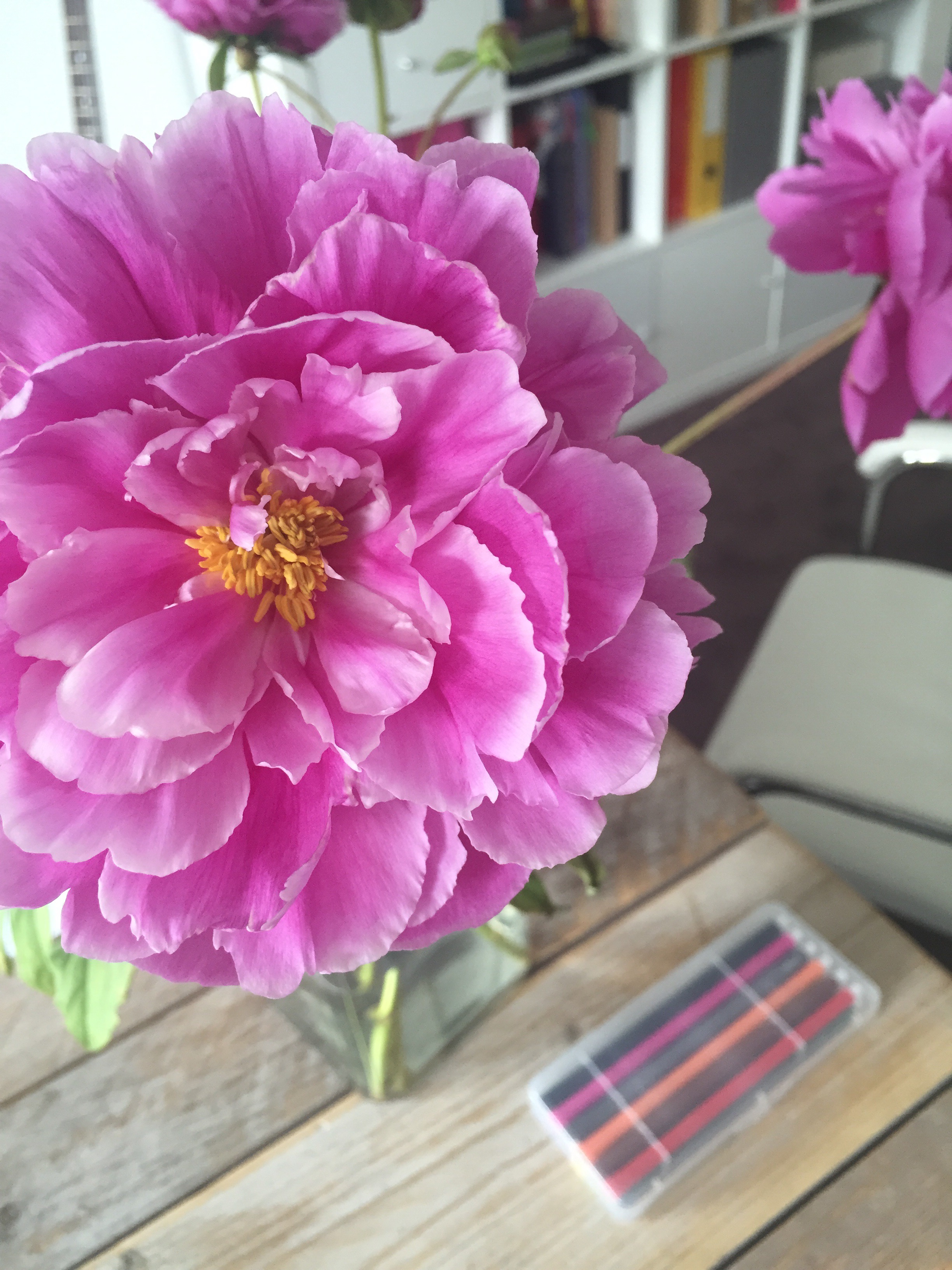 Van leeuwen feng shui zomer feng shui